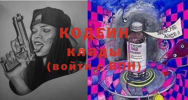 ГАЛЛЮЦИНОГЕННЫЕ ГРИБЫ Богданович