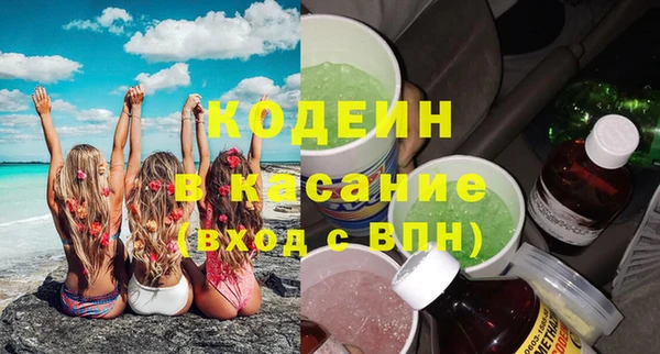 ГАЛЛЮЦИНОГЕННЫЕ ГРИБЫ Богданович