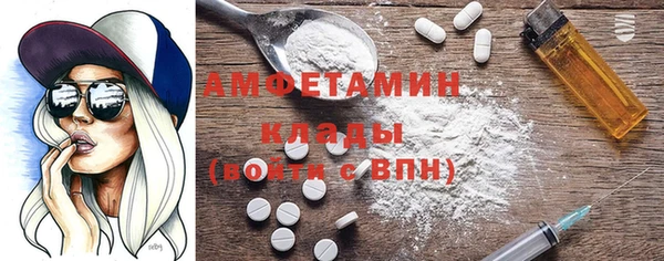 ГАЛЛЮЦИНОГЕННЫЕ ГРИБЫ Богданович